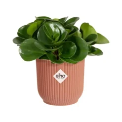 Cache-pot rose poudré Elho Vibes Fold Mini - Ø 9 cm