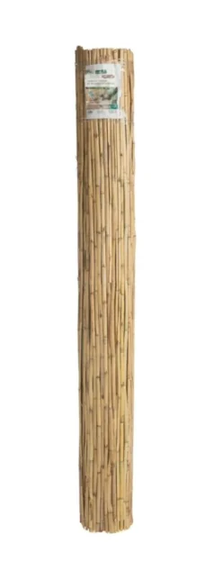 Canisse en roseaux fendus botanic® - H 200 cm x 5 m