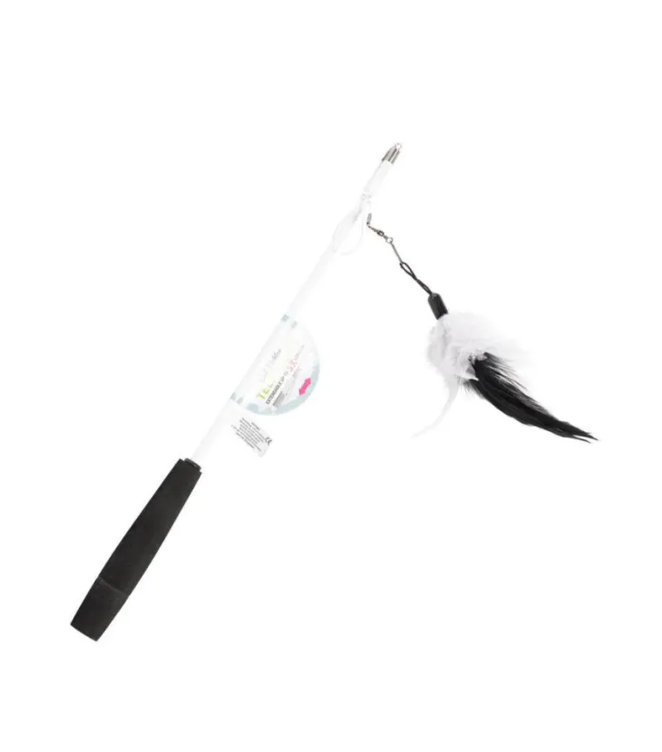 Canne à pêche télescopique