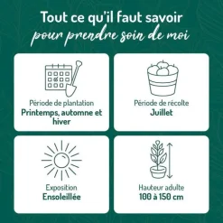 Cassissier Andega Bio. Le pot de 5 litres