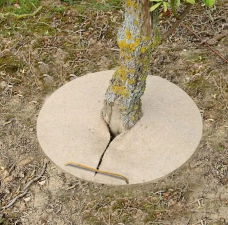 Cercle de chanvre coloris beige 800gr/m² - Ø 30 cm