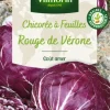 Chicorée à feuilles rouge de Vérone Vilmorin - graines à semer