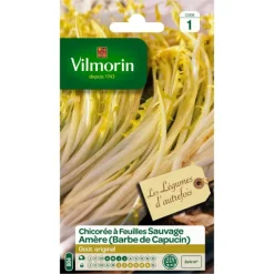 Chicorée à feuilles Sauvage Amère Vilmorin - graines à semer