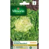 Chicorée Grosse Bouclée 2 Vilmorin - graines à semer