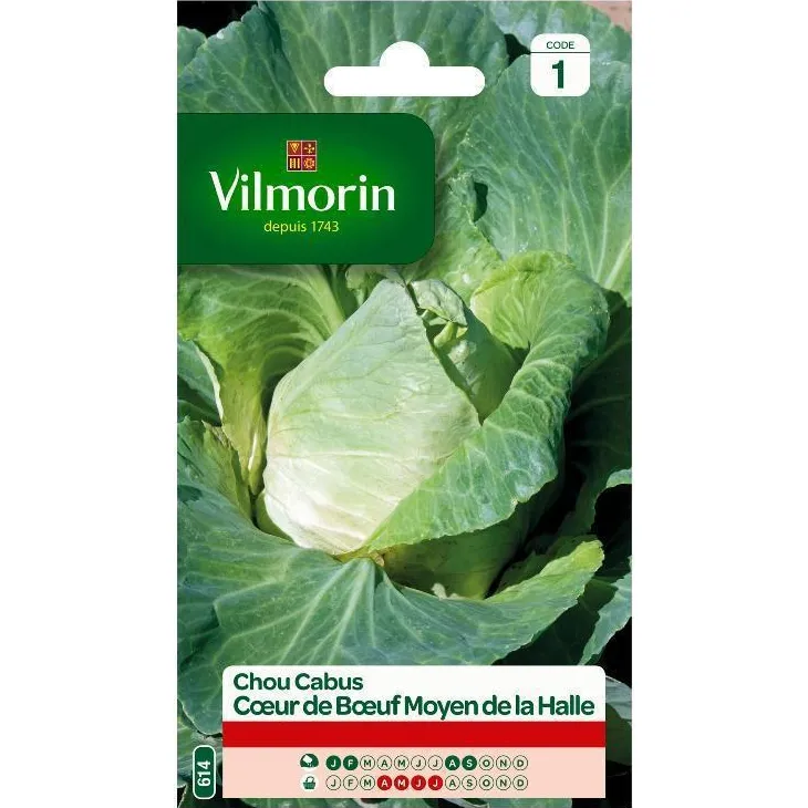 Chou Cabus Cœur de Bœuf Moyen de la Halle Vilmorin - graines à semer