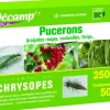 Chrysopes 250 larves
