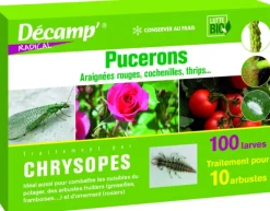 Chrysopes 100 larves
