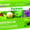 Coccinelles Adalia Bipunctata 20 adultes