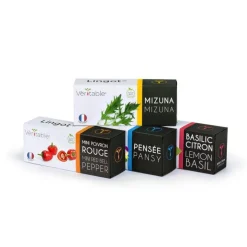 Coffret découverte Véritable