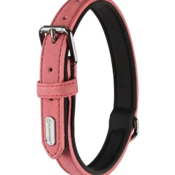 Collier chien Delu rose 47/57 x 3 cm