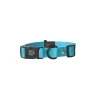 Collier chien réglable 20mm / 40-55cm bleu