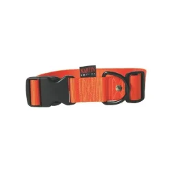 Collier chien réglable 40mm / 50-70cm orange
