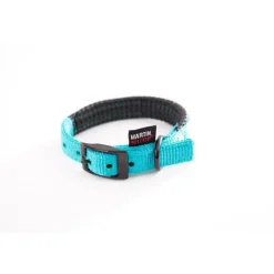 Collier droit Confort pour chien coloris turquoise - 2,5x65 cm