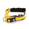 Collier neo+ jaune 1,5 x 30-35 cm