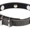 Collier pour chien gris simili cuir Rock Petmini Wouapy – 10 mm x 25 cm