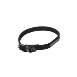 Collier riveté en cuir pour chien 1x30 cm