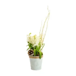 Composition de 3 jacinthes en pot zinc blanc