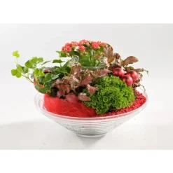 Composition de plantes vertes et fleuries. La coupe en verre