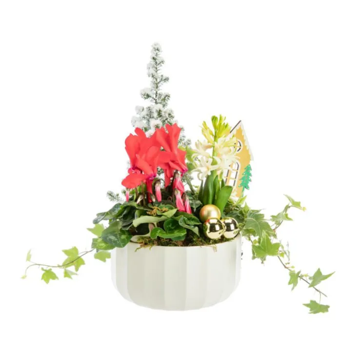 Composition festive pot blanc - Ø 20 cm