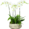 Composition florale