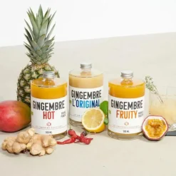 Concentrés bio gingembre fruty mangue passion Quai Sud - 50cl