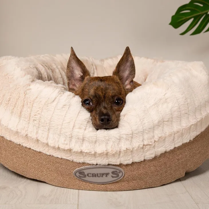 Corbeille pour chien beige Ellen Scruffs - Taille XL