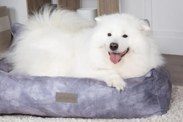 Corbeille pour chien gris Kensington Scruffs – Taille M