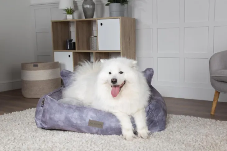 Corbeille pour chien gris Kensington Scruffs – Taille M