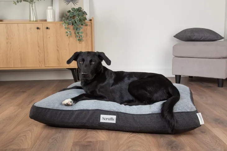 Couchage orthopédique pour chien coloris gris Scruffs Harvard - Taille L 100 x 70 x 12 cm