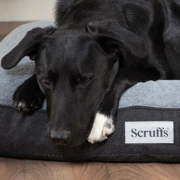Couchage orthopédique pour chien coloris gris Scruffs Harvard - Taille L 100 x 70 x 12 cm