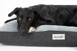 Couchage orthopédique pour chien coloris gris Scruffs Harvard - Taille L 100 x 70 x 12 cm