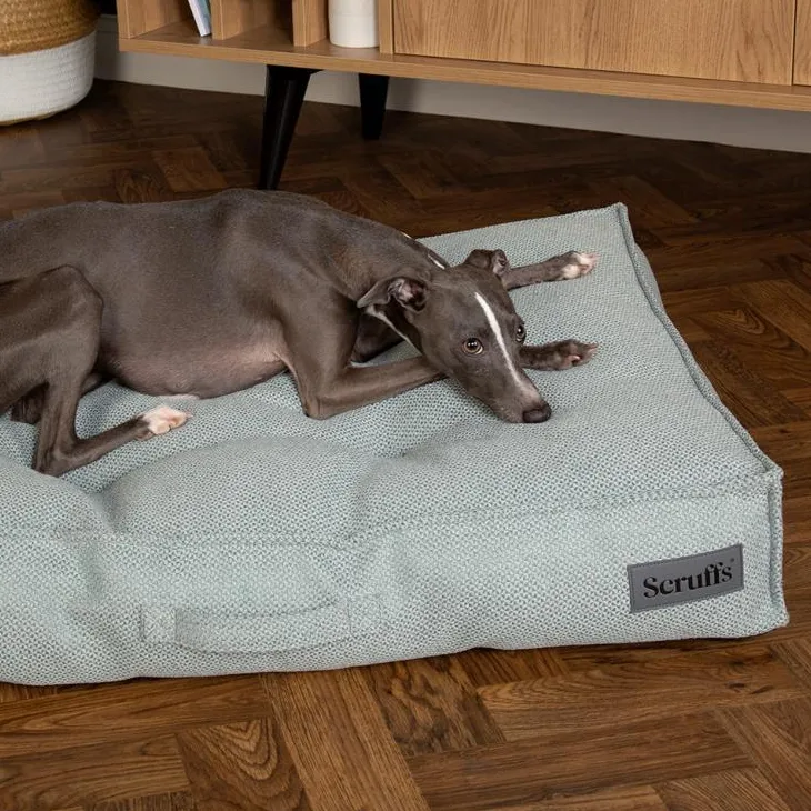 Couchage pour chien coloris vert coussin Scruffs Seattle - Taille L 100 x 70 x 14 cm