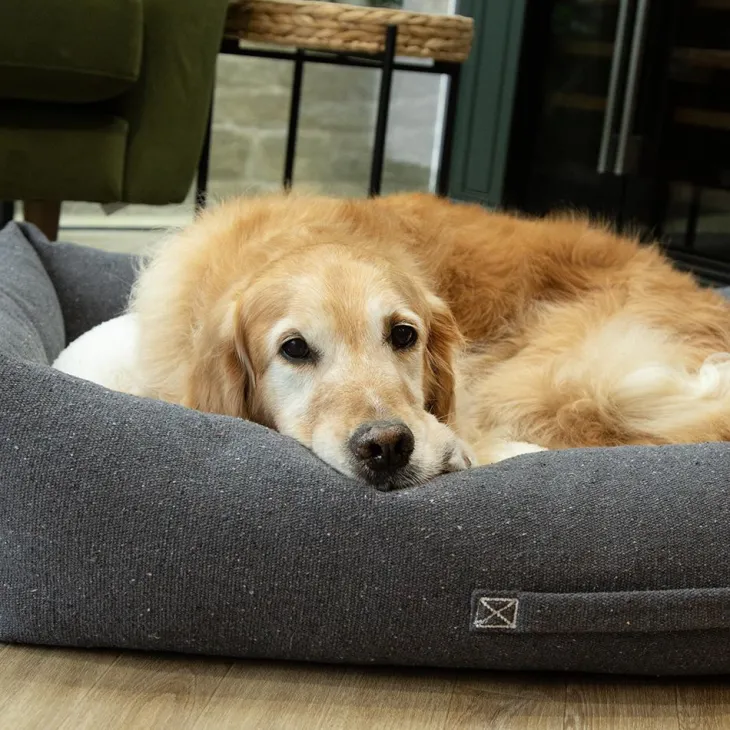 Couchage pour chien coloris gris corbeille Scruffs Eco Eden - Taille XL 90 x 70 cm