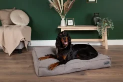 Couchage pour chien coloris gris coussin Scruffs Seattle - Taille M 80 x 60 x 14 cm