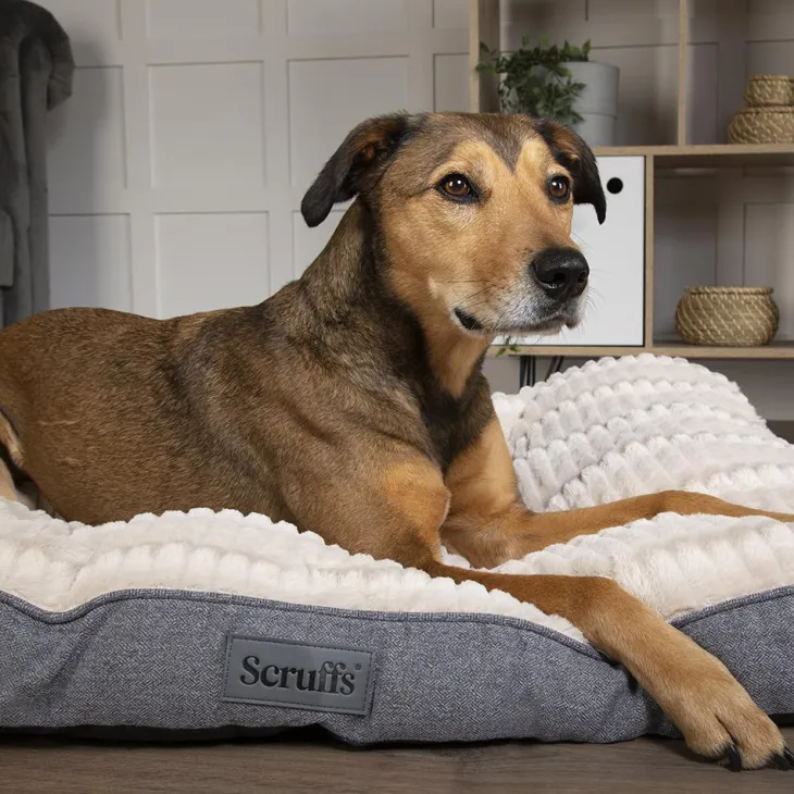 Couchage pour chien coloris gris coussin Scruffs Ellen - Taille L 100 x 70 x 10 cm