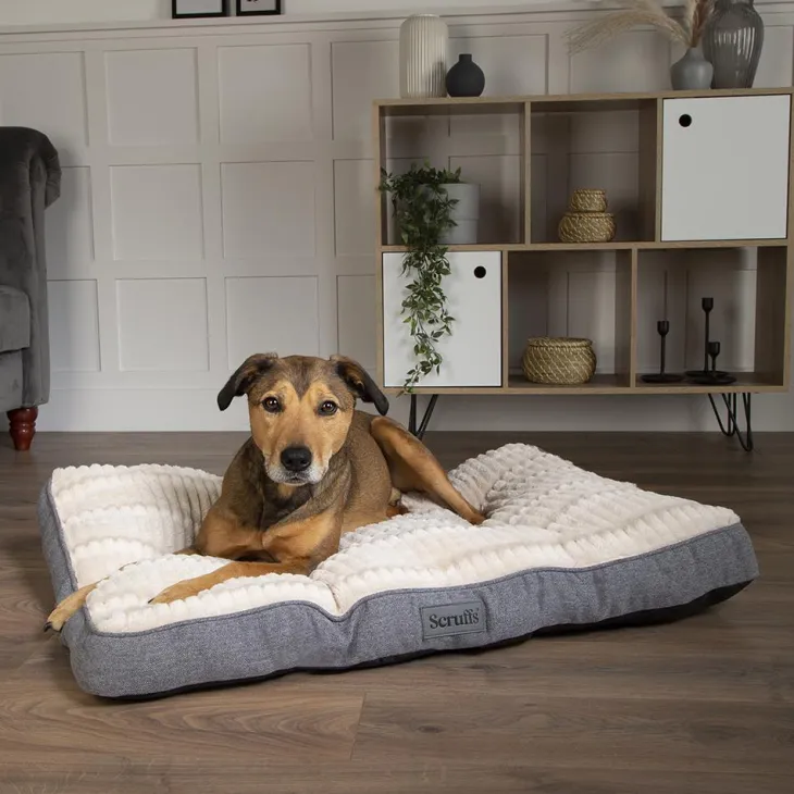 Couchage pour chien coloris gris coussin Scruffs Ellen - Taille L 100 x 70 x 10 cm