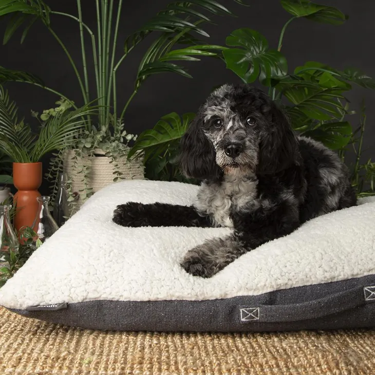 Couchage pour chien coloris gris coussin Scruffs Eco Eden - Taille M 80 x 60 cm
