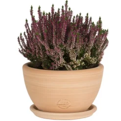 Coupe Cuenco lisse en terre cuite - D21x H12