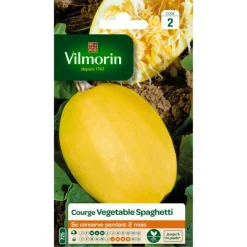 Courge Spaghetti Vilmorin - graines à semer