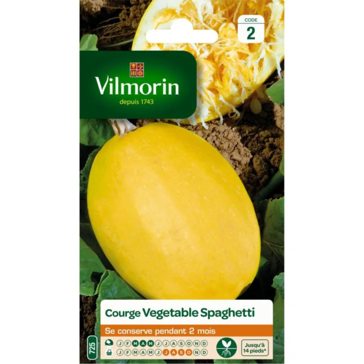 Courge Spaghetti Vilmorin - graines à semer
