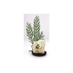 Céramique avec plante artificielle algue haute 28 cm