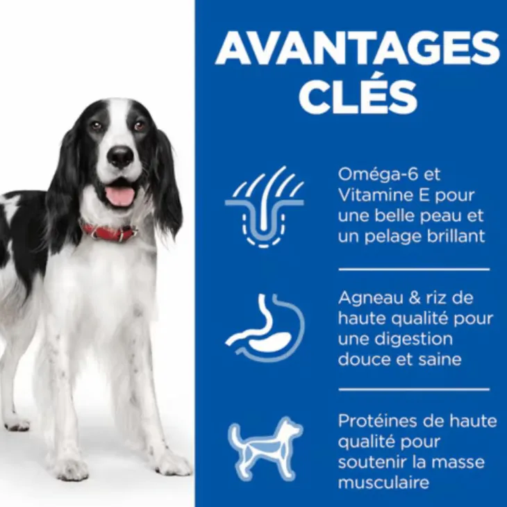 Croquette pour chien adulte à l’agneau et au riz Hill's - 12 kg