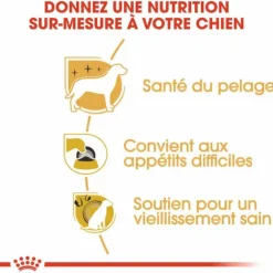 Croquette pour chien adulte Yorkshire Royal Canin - 1,5 kg