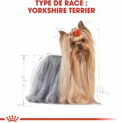 Croquette pour chien adulte Yorkshire Royal Canin - 1,5 kg