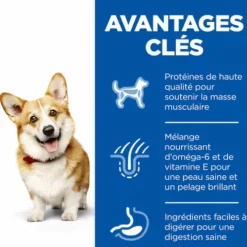 Croquette pour chien adulte de petite taille au poulet Hill's - 3 kg