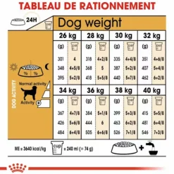 Croquette pour chien adulte Labrador Retriever Royal Canin - 12 kg