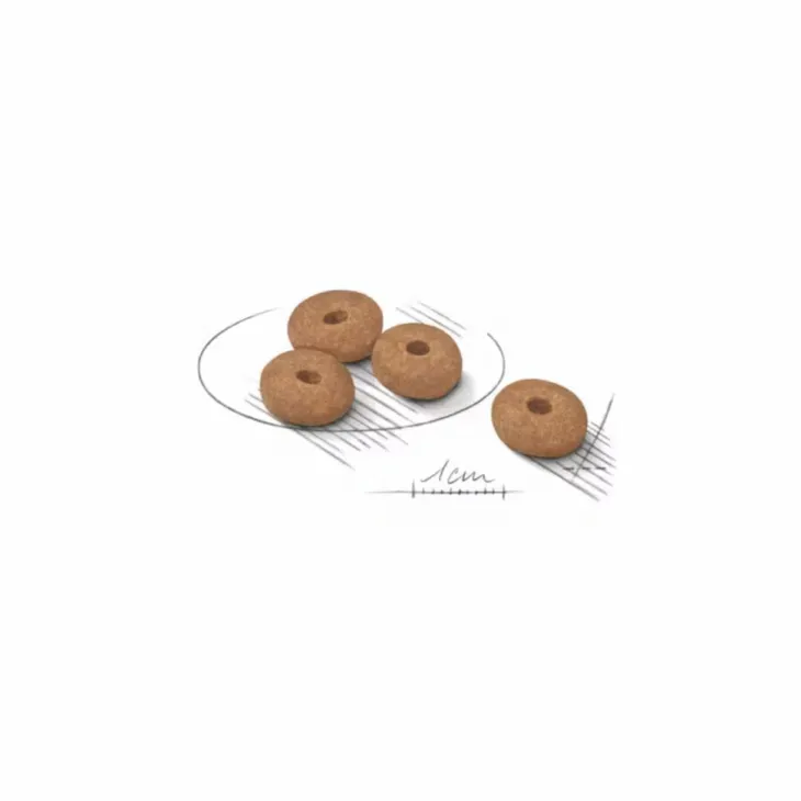 Croquette pour chien adulte de petite taille light weight care Royal Canin - 3 kg