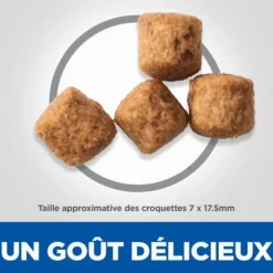 Croquette pour chien mature de grande race au poulet Hill's - 18 kg