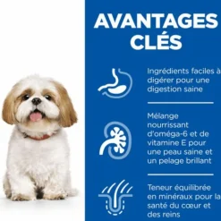 Croquette pour chien mature de petite taille au poulet Hill's - 6 kg