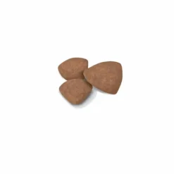 Croquette pour chiot Royal Canin - 8 kg